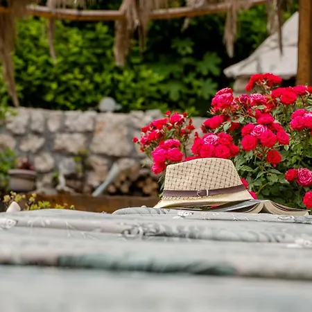 Casa vacanze Charming Svagusa With Sea View *